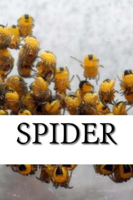 Book cover for Spider