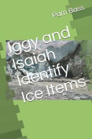 Cover of Iggy and Isaiah Identify Ice Items