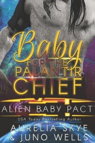 Cover of Baby For The Palantir Chief