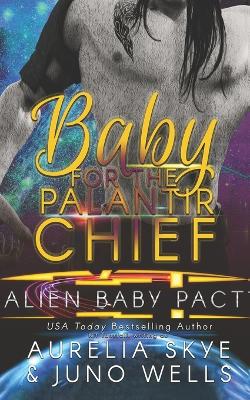 Book cover for Baby For The Palantir Chief