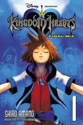 Book cover for Kingdom Hearts: Final Mix, Vol. 1