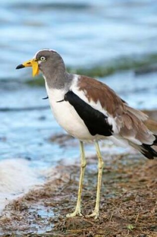 Cover of White-Crowned Lapwing Journal