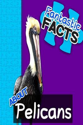 Book cover for Fantastic Facts about Pelicans