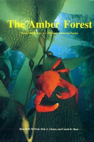 Cover of Amber Forest