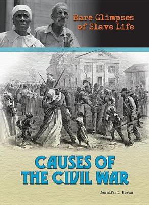 Book cover for Causes of the Civil War