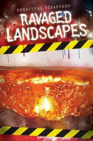 Cover of Ravaged Landscapes