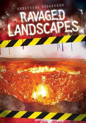 Book cover for Ravaged Landscapes