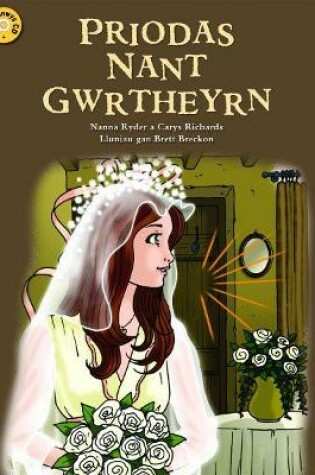 Cover of Priodas Nant Gwrtheyrn - Llyfr Mawr yn Cynnwys CD