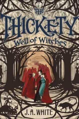 Cover of Well of Witches