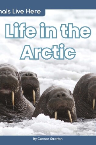 Cover of Animals Live Here: Life in the Arctic