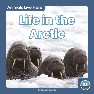 Book cover for Animals Live Here: Life in the Arctic