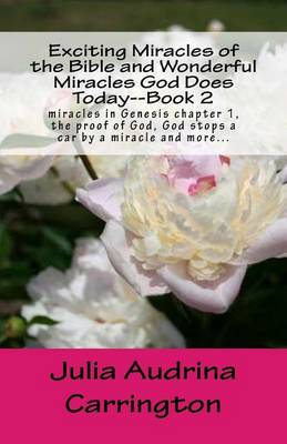 Book cover for Exciting Miracles of the Bible and Wonderful Miracles God Does Today--Book 2