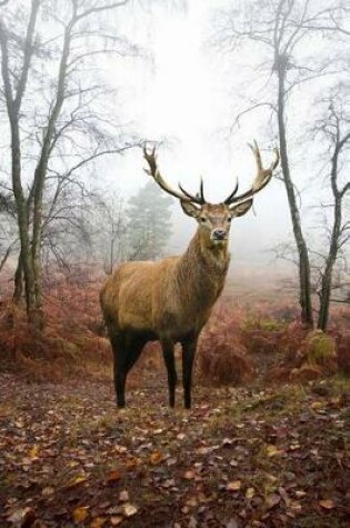 Cover of Red Deer Stag in Autumn Forest Journal