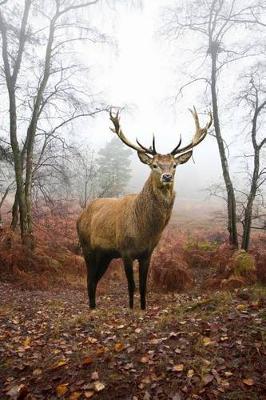 Book cover for Red Deer Stag in Autumn Forest Journal