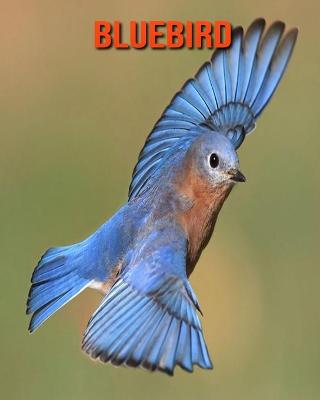 Book cover for Bluebird