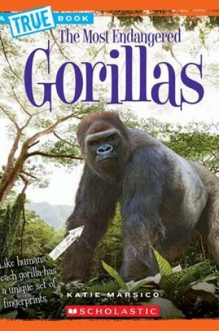 Cover of Gorillas (a True Book: The Most Endangered)