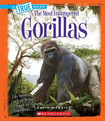 Book cover for Gorillas (a True Book: The Most Endangered)
