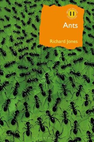 Cover of Ants