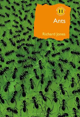 Cover of Ants