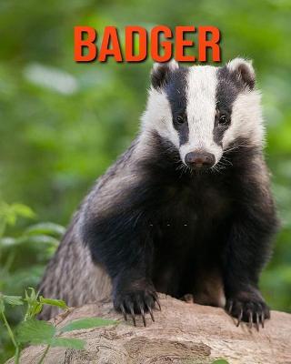 Book cover for Badger