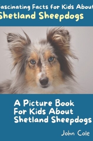 Cover of A Picture Book for Kids About Shetland Sheepdogs