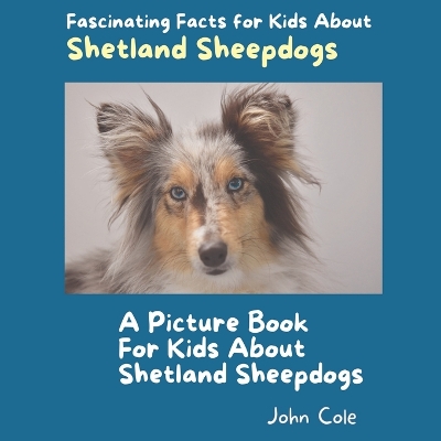 Book cover for A Picture Book for Kids About Shetland Sheepdogs