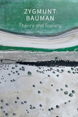 Cover of Theory and Society
