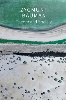 Book cover for Theory and Society