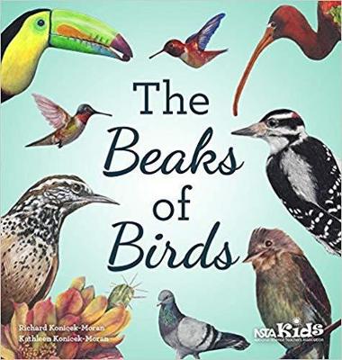 Book cover for The Beaks of Birds