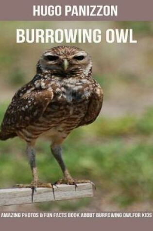 Cover of Burrowing Owl