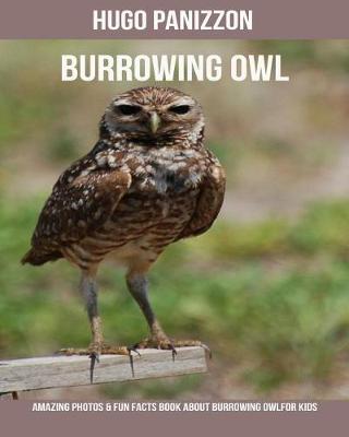 Book cover for Burrowing Owl