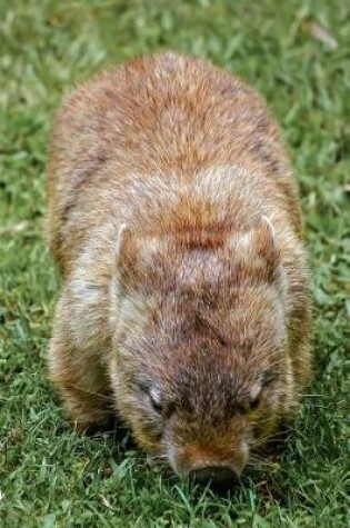 Cover of An Australian Wombat Journal