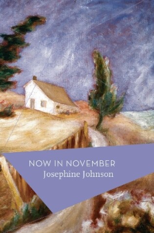 Cover of Now In November