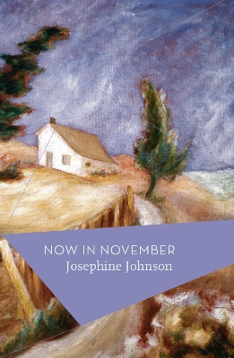 Book cover for Now In November