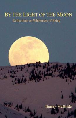 Book cover for By the Light of the Moon