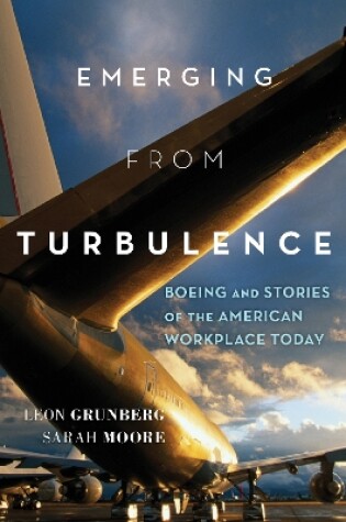 Cover of Emerging from Turbulence