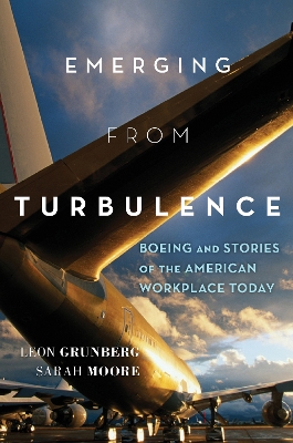 Book cover for Emerging from Turbulence