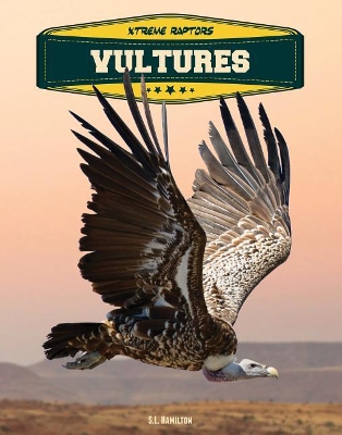 Book cover for Vultures