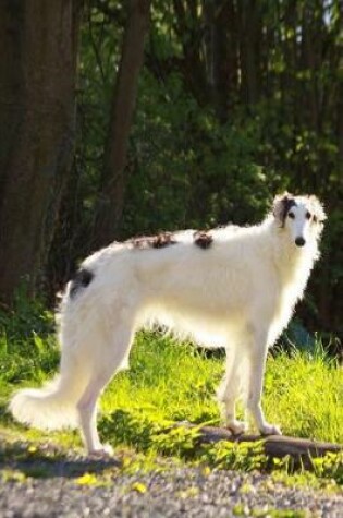 Cover of Stunning White and Brown Borzoi Dog Pet Journal