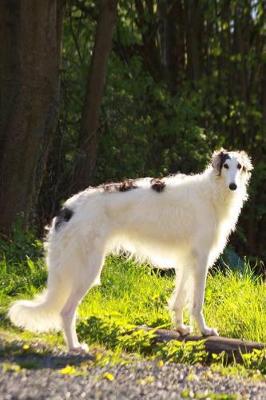 Book cover for Stunning White and Brown Borzoi Dog Pet Journal