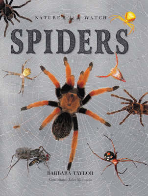 Book cover for Spiders