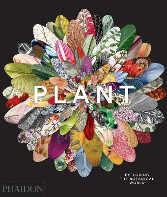 Book cover for Plant, Exploring the Botanical World