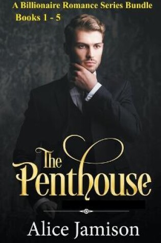 Cover of A Billionaire Romance Series Bundle Books 1 - 5 The Penthouse