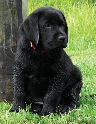 Book cover for Black Labrador Puppy Calendar Notebook