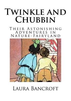 Book cover for Twinkle and Chubbin