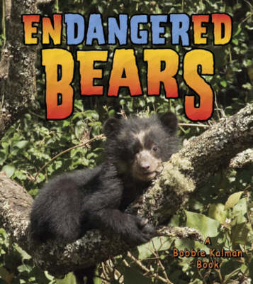 Book cover for Endangered Bears