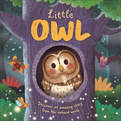 Book cover for Little Owl