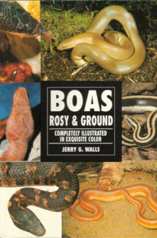 Cover of Boas, Rosy and Ground