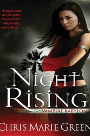 Cover of Night Rising