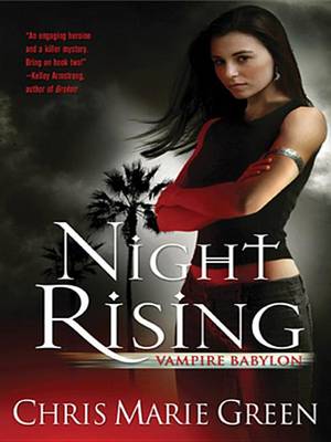 Book cover for Night Rising
